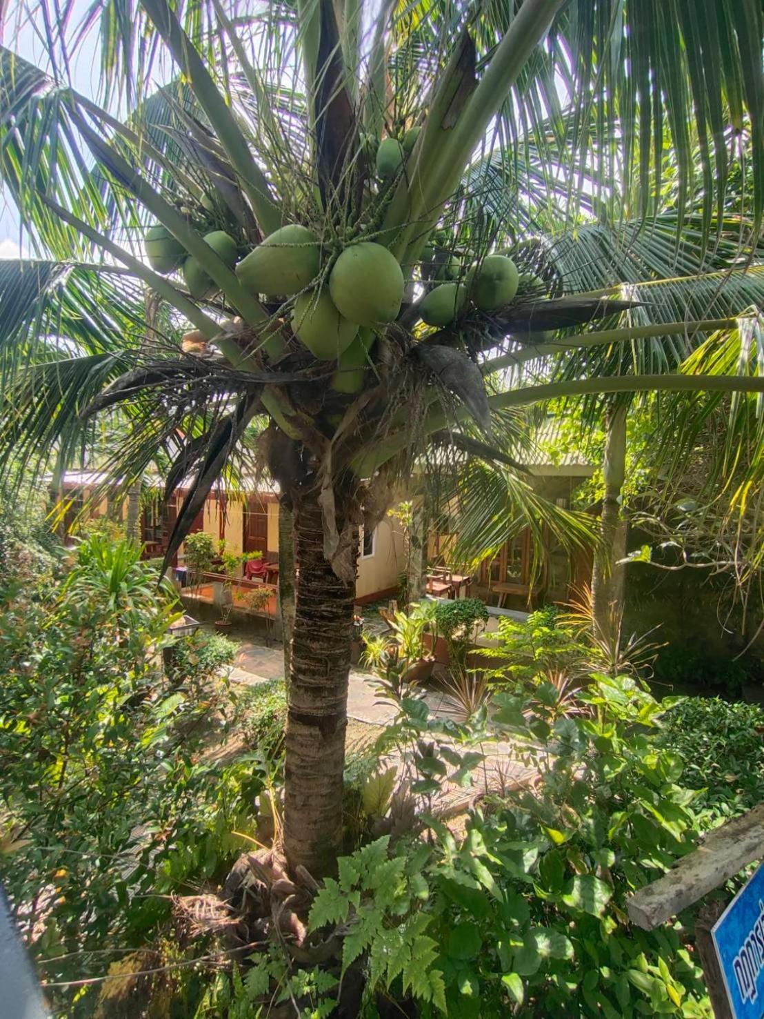 Lanta Riviera Beach Resort Ko Lanta Esterno foto